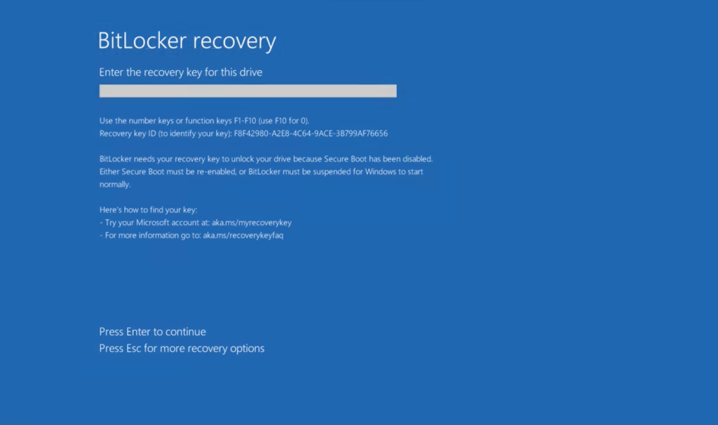 bitlocker recovery adn other words written on blue screen